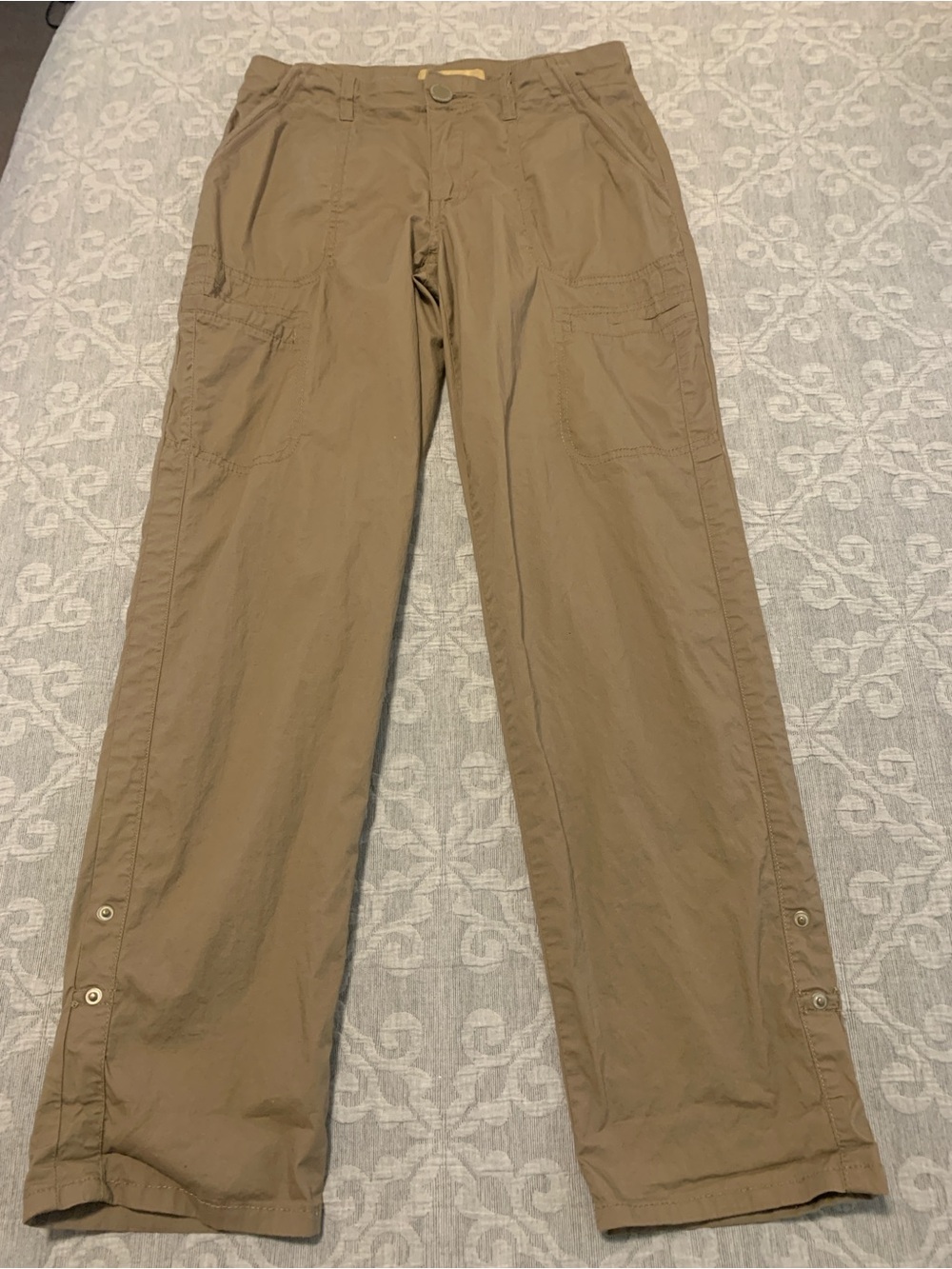Democracy Straight Leg Cargo Pants in Tan (Size 6)